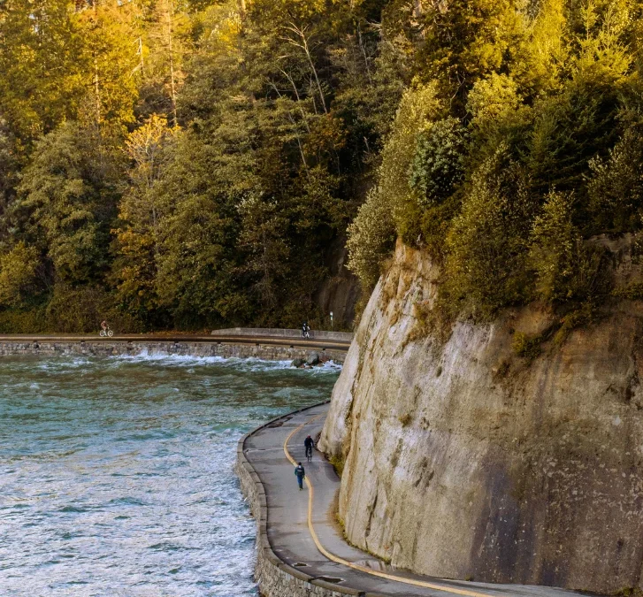 What Stanley Park’s dying trees reveal about B.C.’s climate future